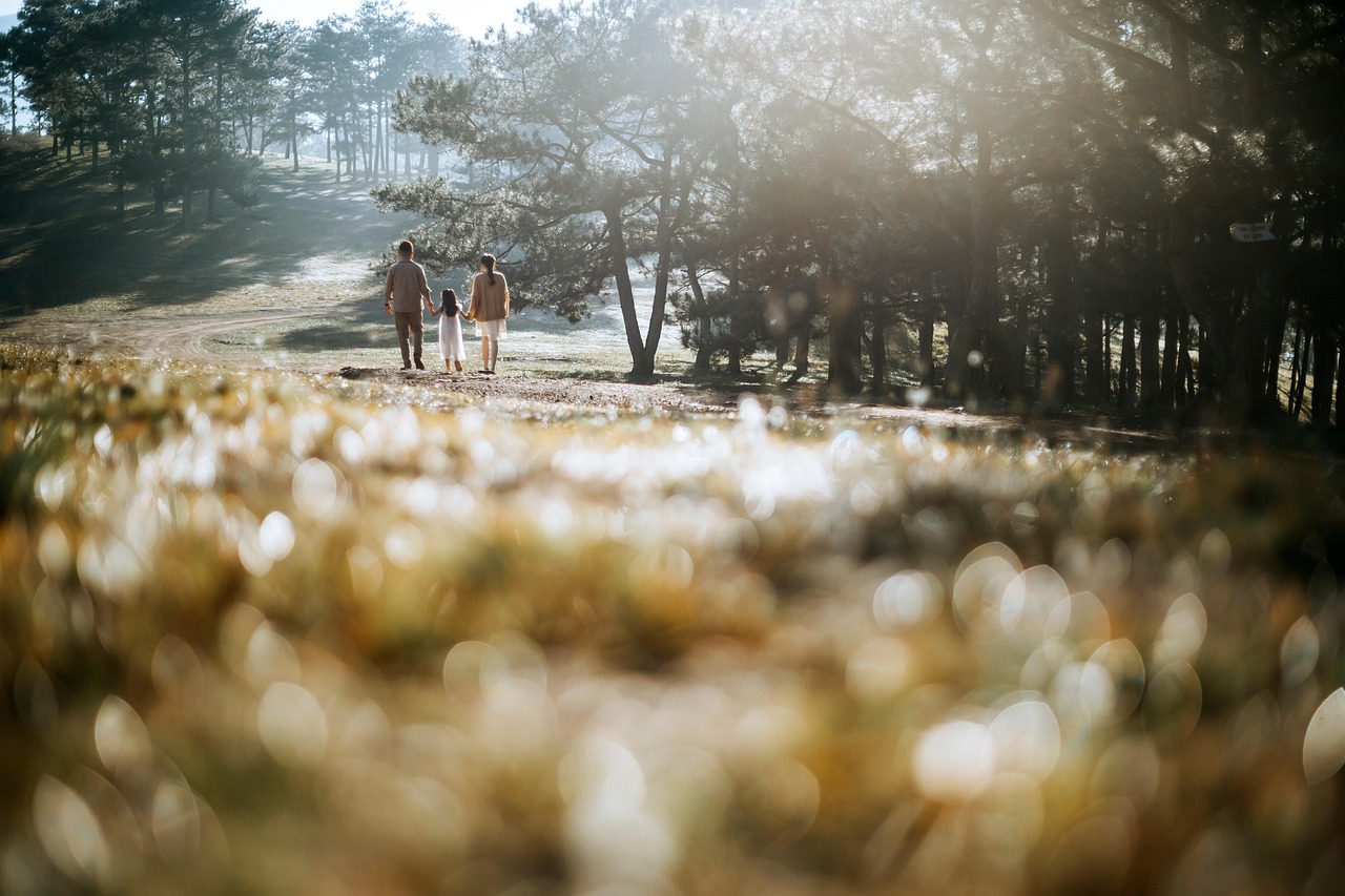 Psicología de las herencias: por qué las familias se rompen tras un fallecimiento